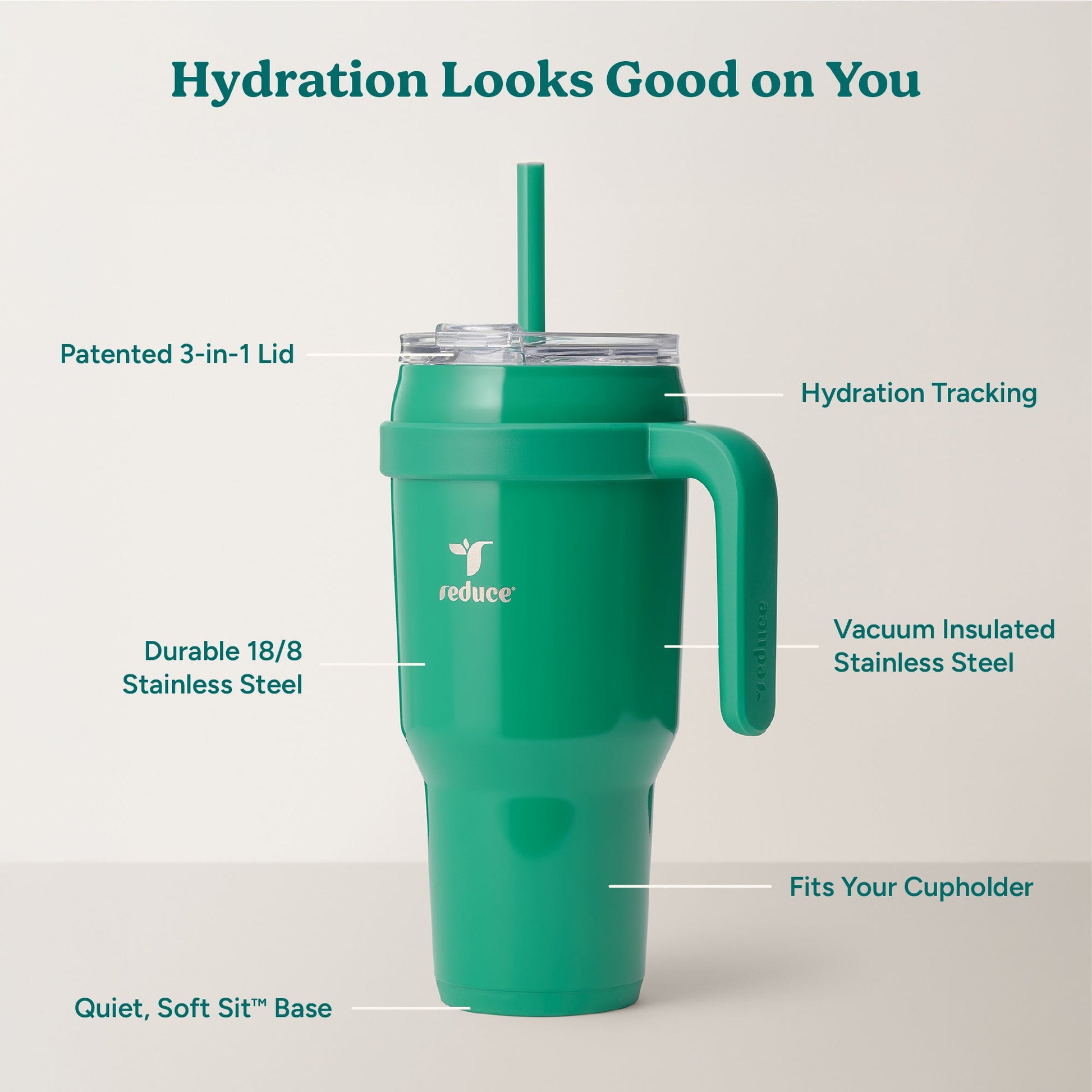cold1-40-oz-n3 Cold1_40oz_PalmLeaf_Infographic_2.jpg