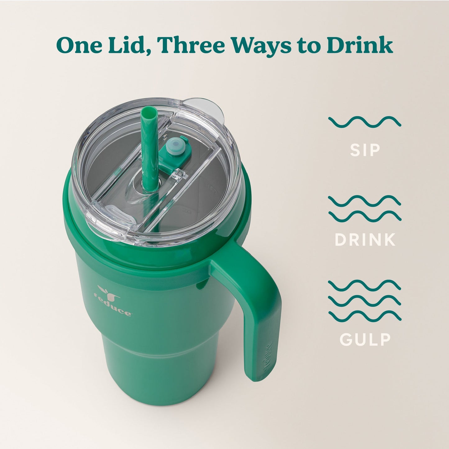 cold1-40-oz-n3 Cold1_40oz_PalmLeaf_Infographic_3.jpg