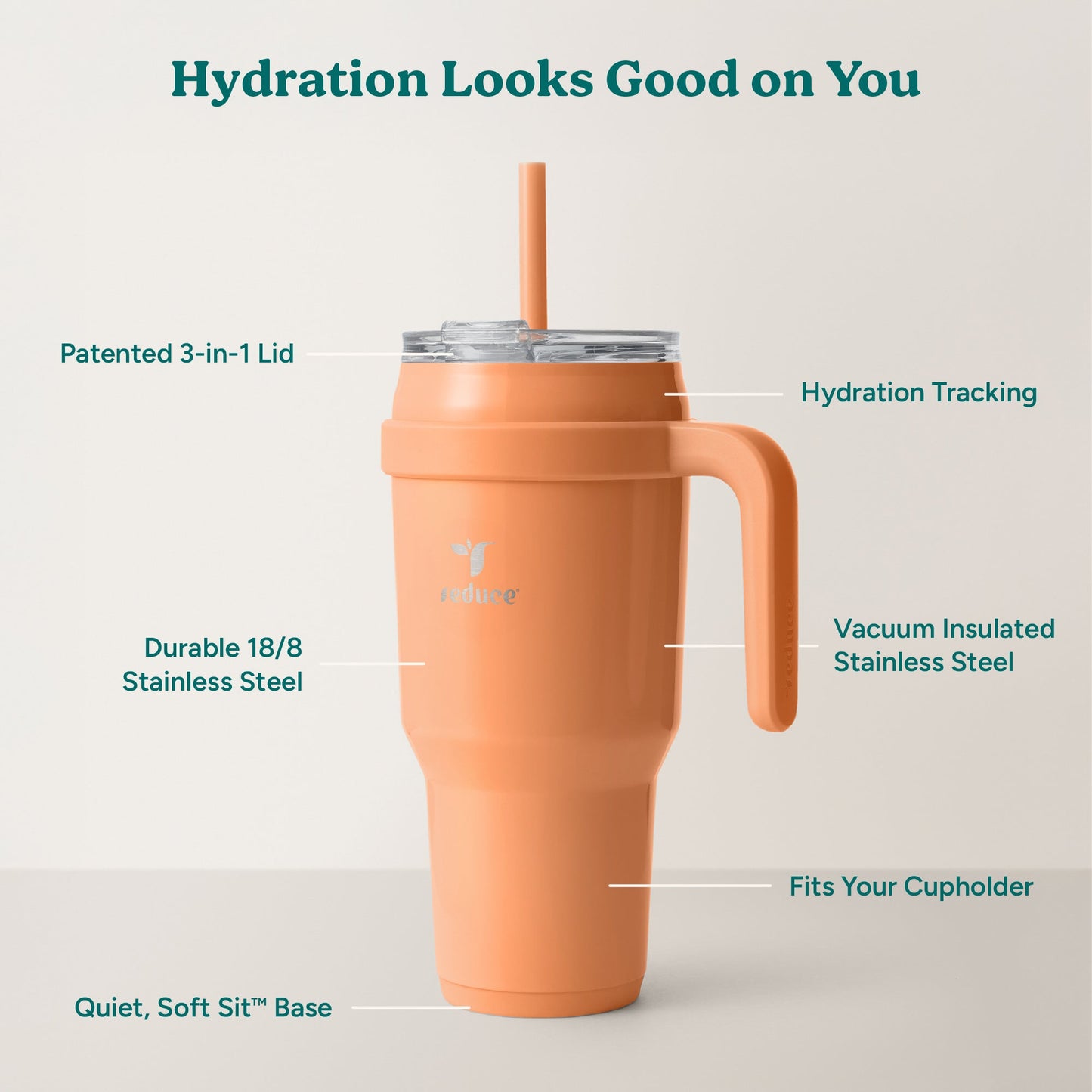 cold1-40-oz-n3 Cold1_40oz_Papaya_Infographic_2.jpg