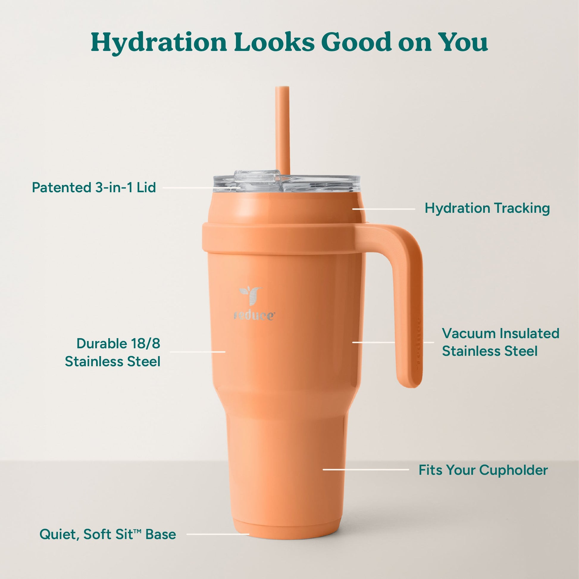 cold1-40-oz-n3 Cold1_40oz_Papaya_Infographic_2.jpg